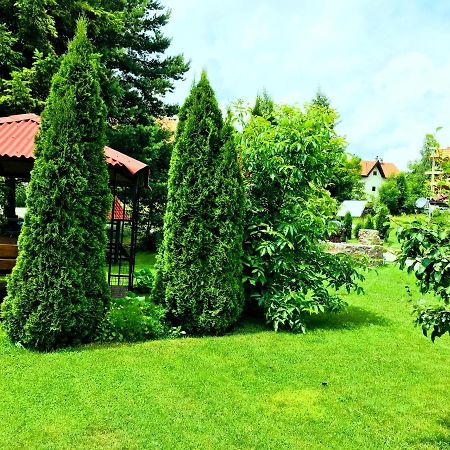 Omiljeni Apartments ズラティボール エクステリア 写真