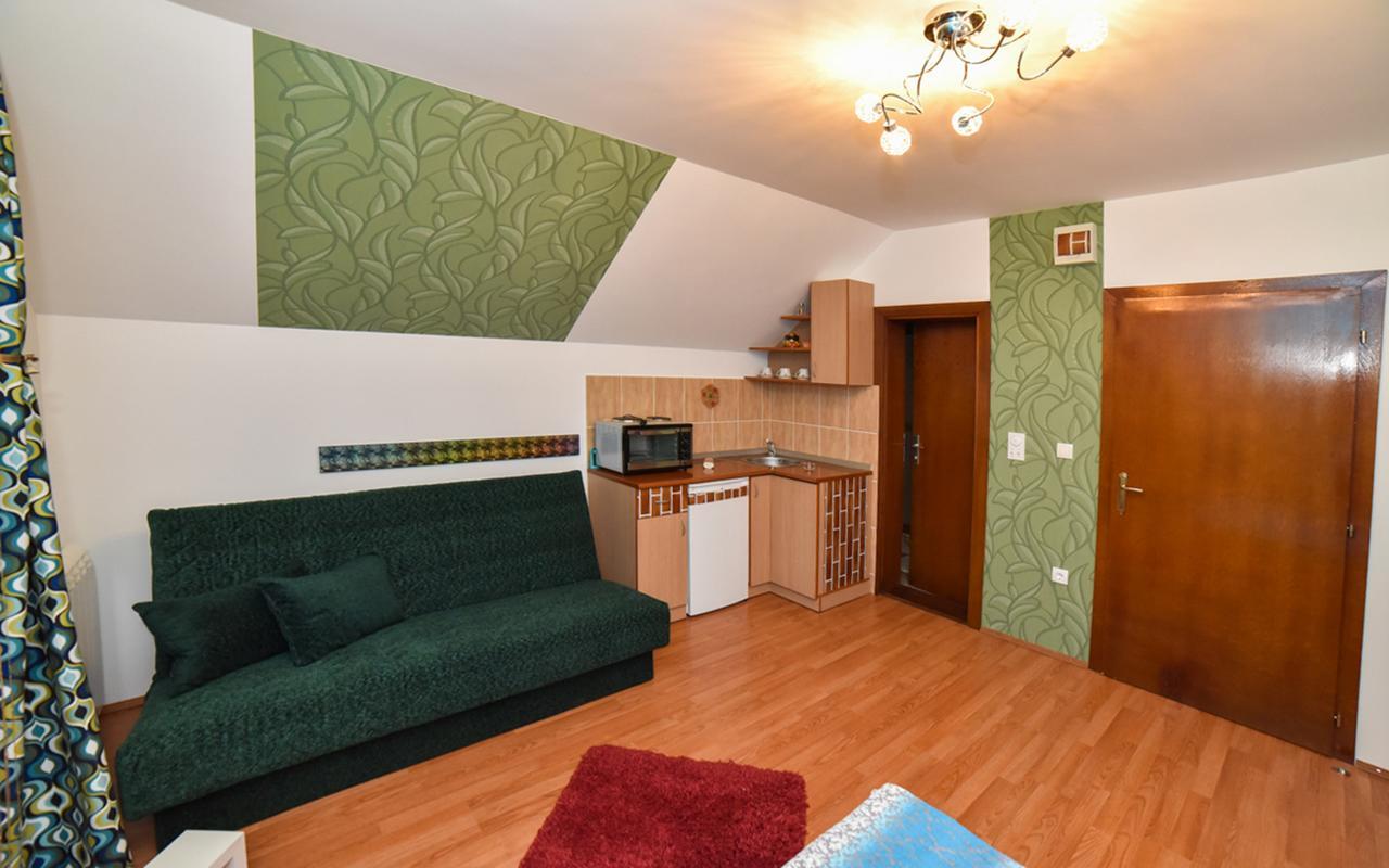 Omiljeni Apartments ズラティボール エクステリア 写真